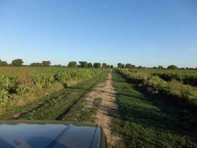 Farm For Sale in Entre Rios, Argentina