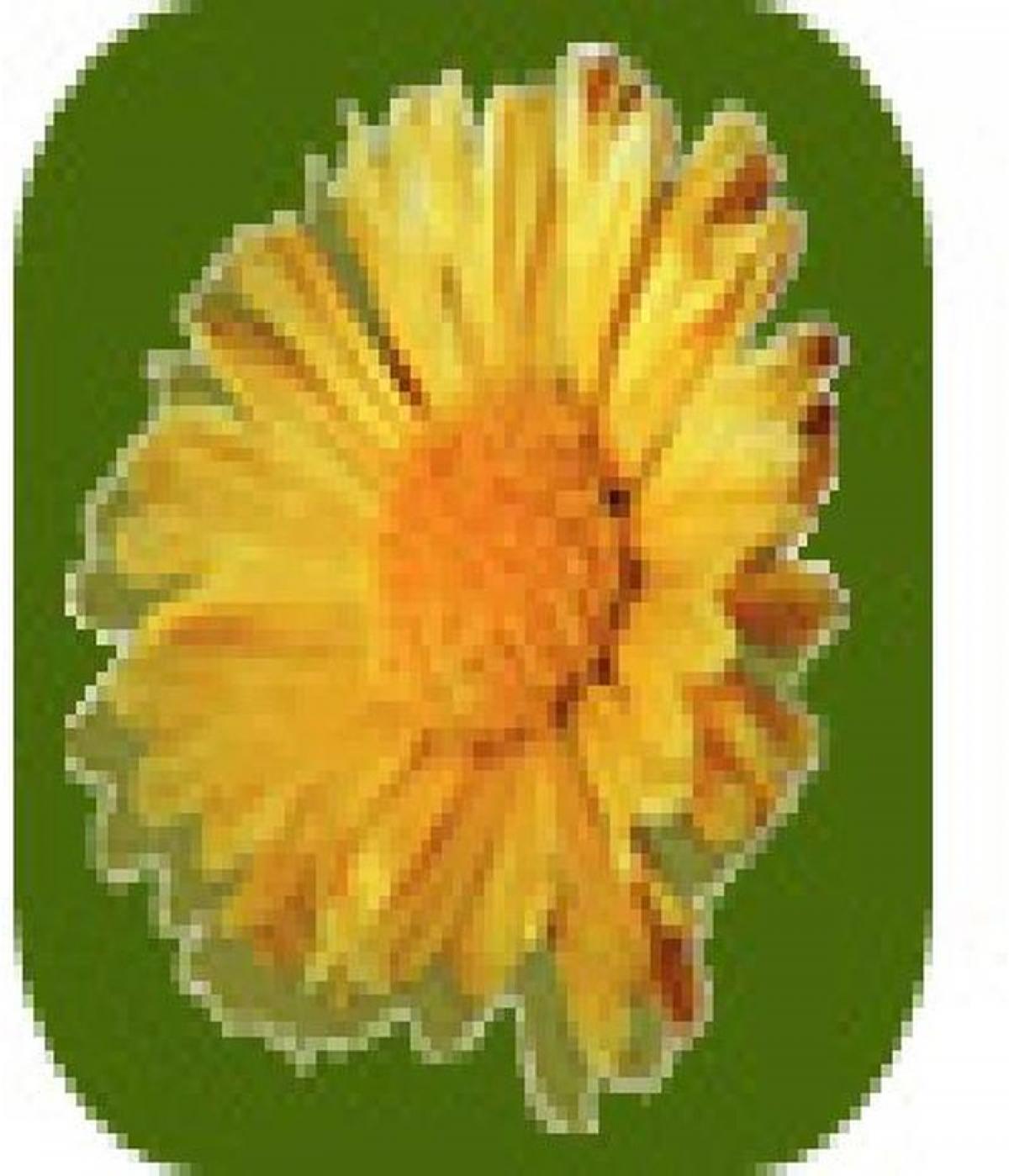 Picture of Home For Sale in La Pampa, Cordoba, Argentina