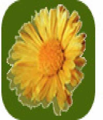 Home For Sale in La Pampa, Argentina