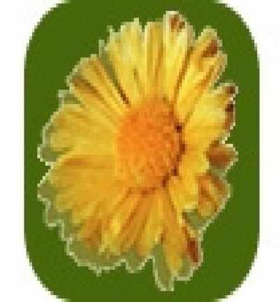 Home For Sale in La Pampa, Argentina