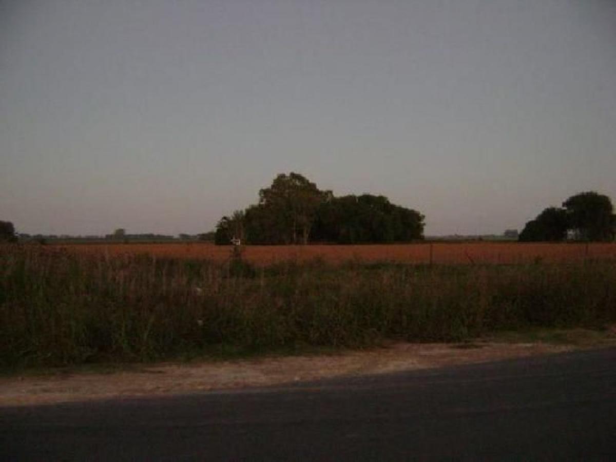 Picture of Home For Sale in San Andres De Giles, Buenos Aires, Argentina