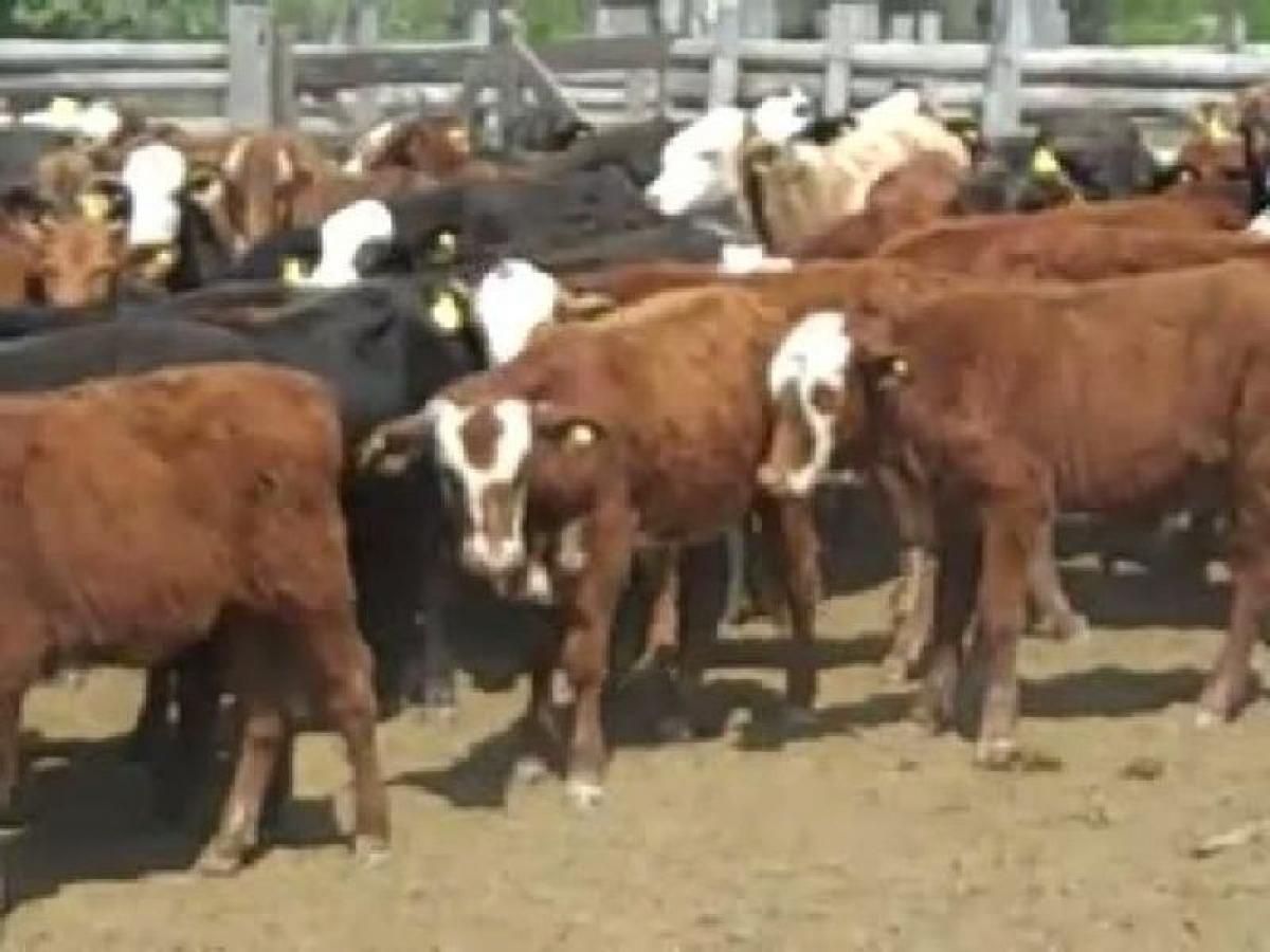 Picture of Home For Sale in Formosa, Formosa, Argentina