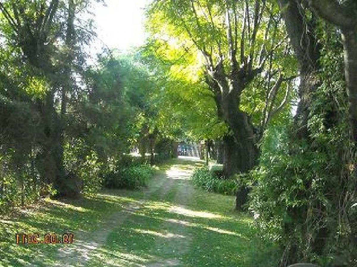 Picture of Residential Land For Sale in San Miguel, La Pampa, Argentina
