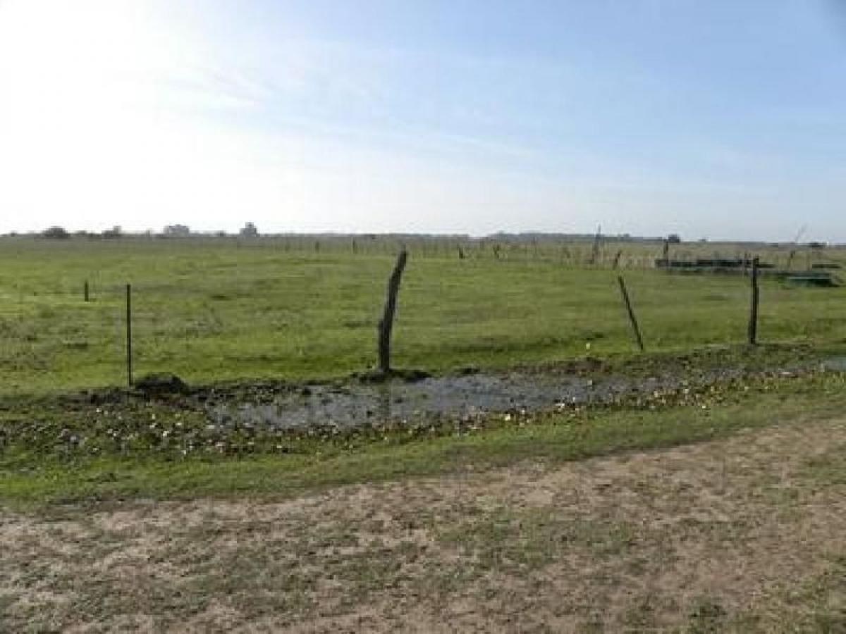 Picture of Home For Sale in Bs.As. G.B.A. Zona Oeste, Buenos Aires, Argentina