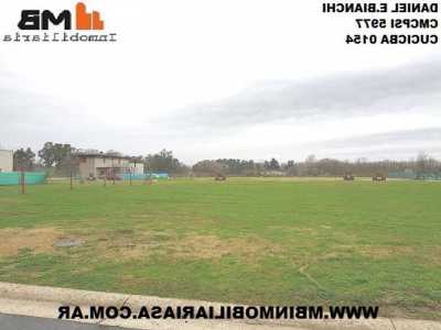 Farm For Sale in Tigre, Argentina