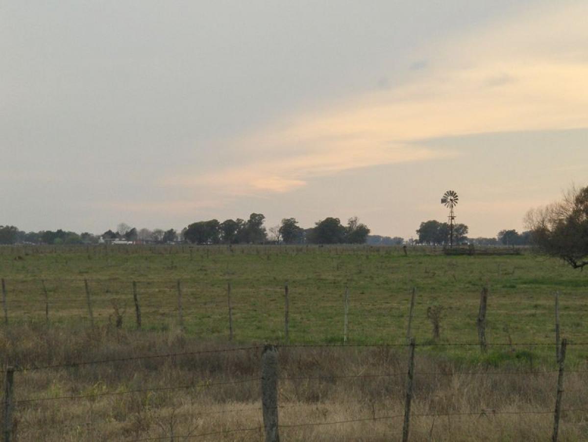 Picture of Farm For Sale in Buenos Aires Interior, Buenos Aires, Argentina