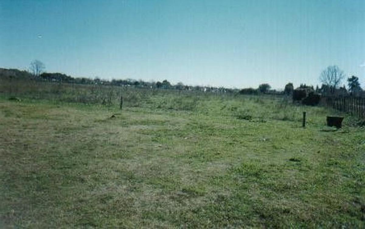 Picture of Farm For Sale in Buenos Aires Interior, Buenos Aires, Argentina