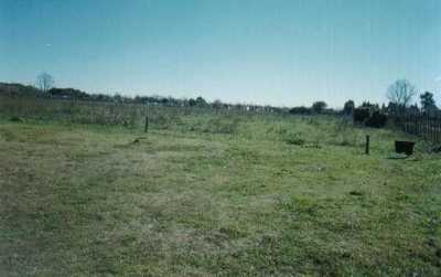 Farm For Sale in Buenos Aires Interior, Argentina