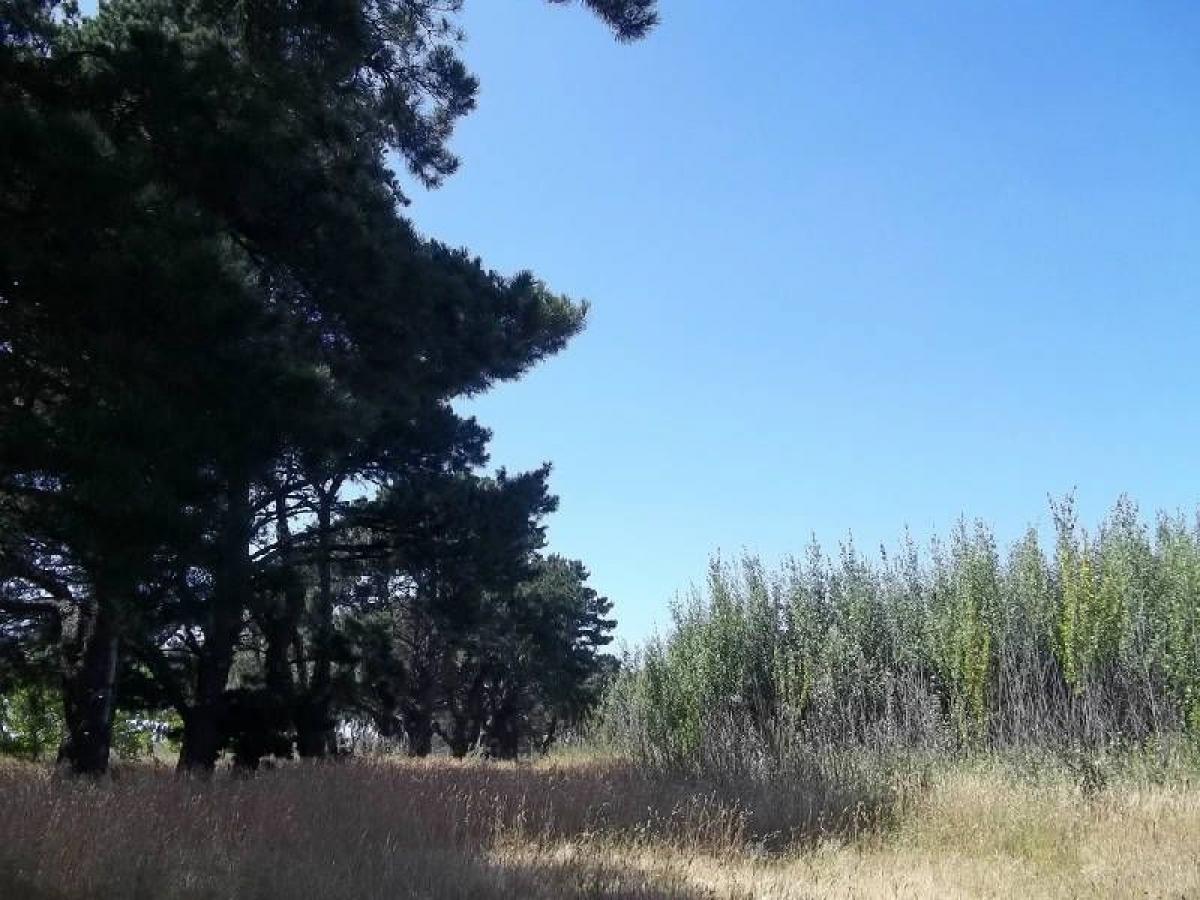 Picture of Residential Land For Sale in General Pueyrredon, Buenos Aires, Argentina