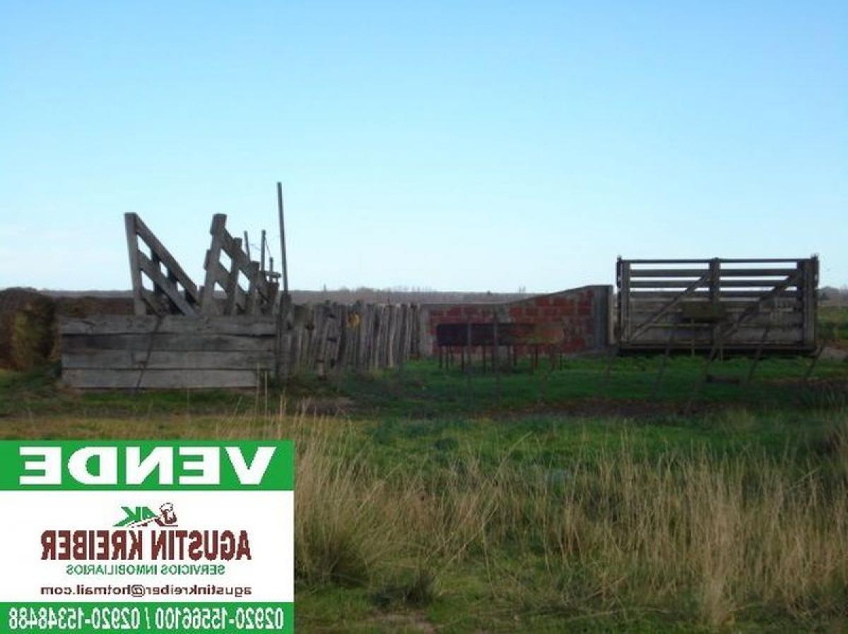Picture of Farm For Sale in Rio Negro, Rio Negro, Argentina