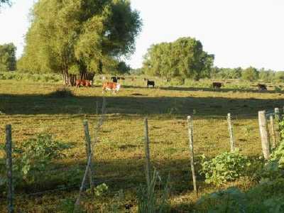 Farm For Sale in Entre Rios, Argentina