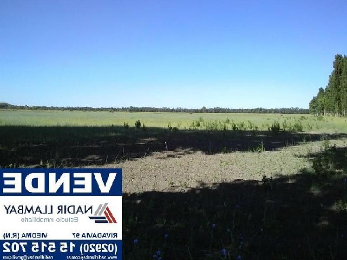 Picture of Farm For Sale in Rio Negro, Rio Negro, Argentina