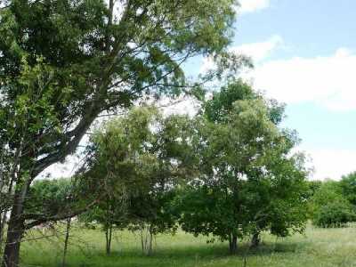 Residential Land For Sale in Bs.As. G.B.A. Zona Sur, Argentina