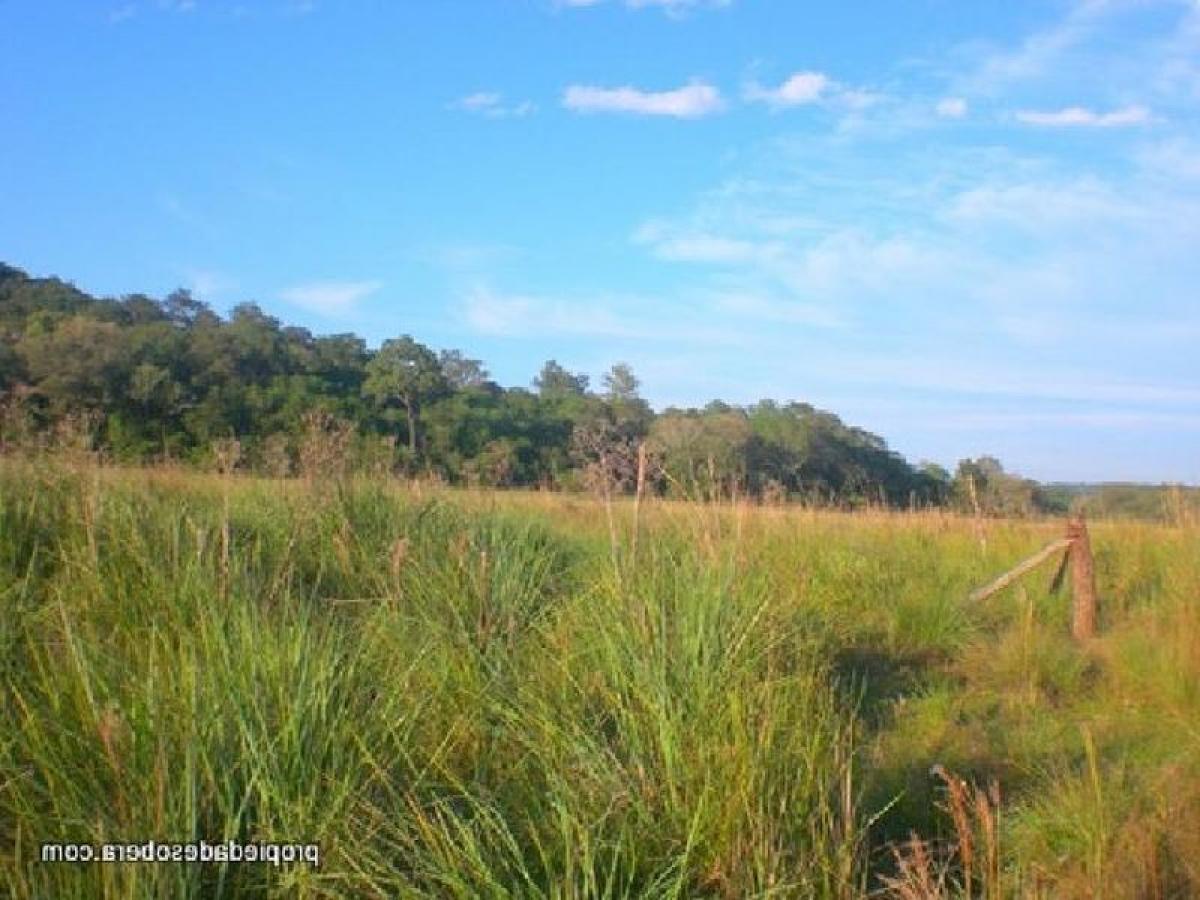 Picture of Farm For Sale in Misiones, Misiones, Argentina