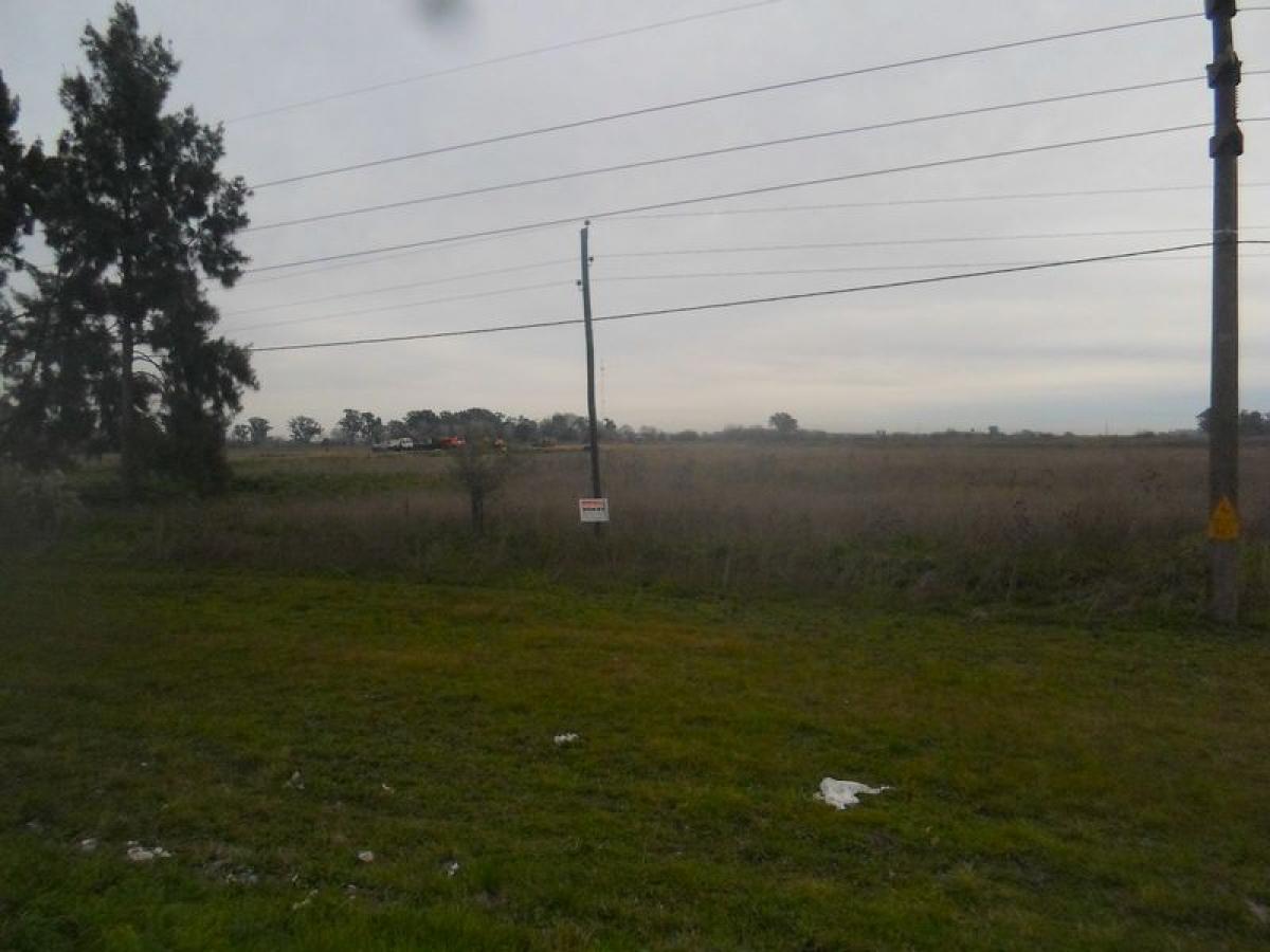 Picture of Farm For Sale in Buenos Aires Interior, Buenos Aires, Argentina