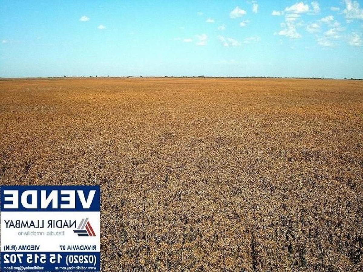 Picture of Home For Sale in Patagones, Buenos Aires, Argentina