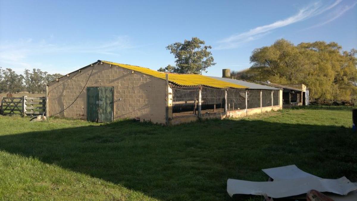Picture of Farm For Sale in Buenos Aires Interior, Buenos Aires, Argentina