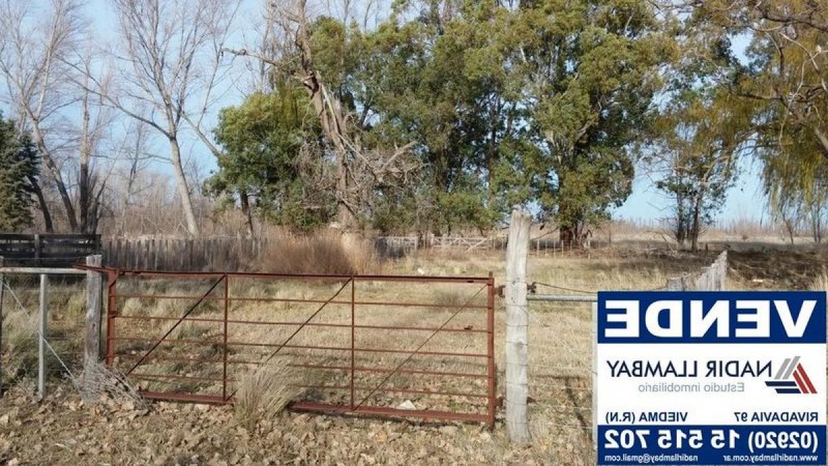 Picture of Farm For Sale in Rio Negro, Rio Negro, Argentina