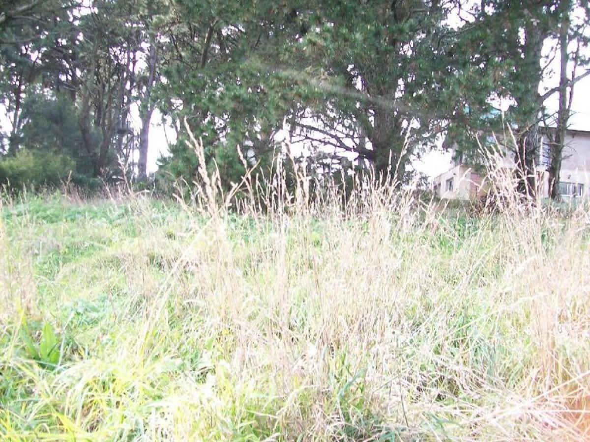 Picture of Residential Land For Sale in General Pueyrredon, Buenos Aires, Argentina