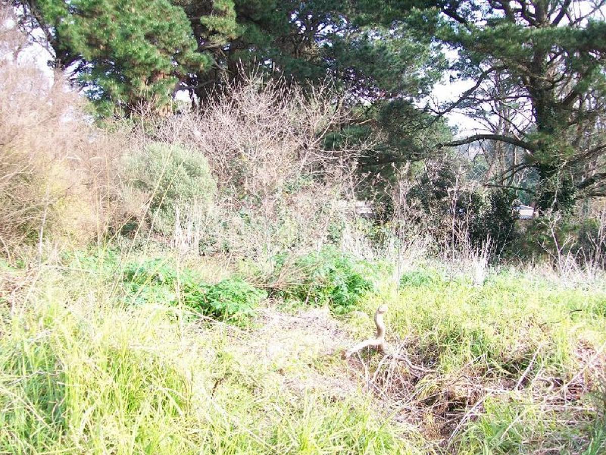 Picture of Residential Land For Sale in General Pueyrredon, Buenos Aires, Argentina