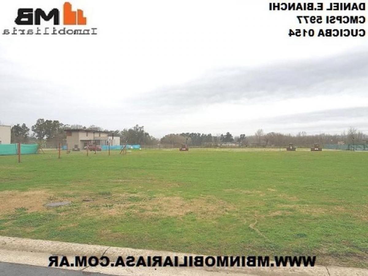 Picture of Farm For Sale in Tigre, Buenos Aires, Argentina