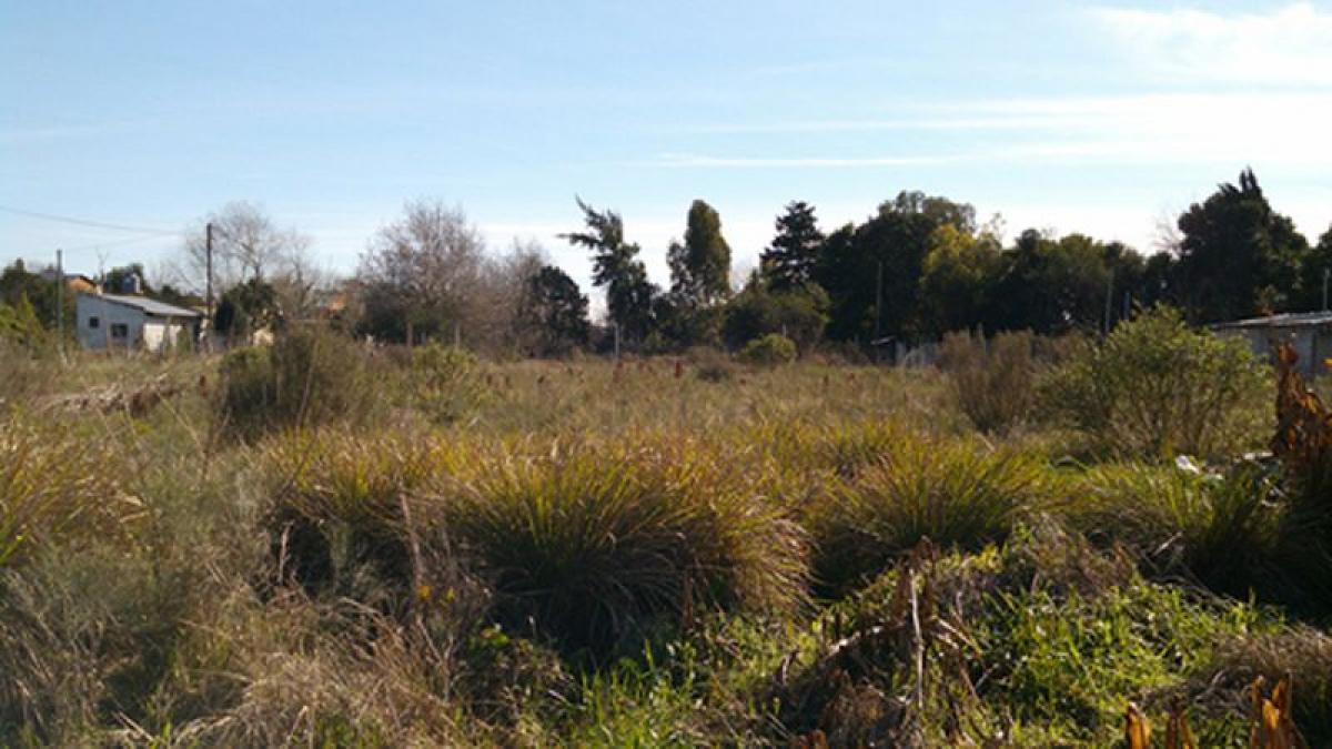 Picture of Residential Land For Sale in Berazategui, Buenos Aires, Argentina