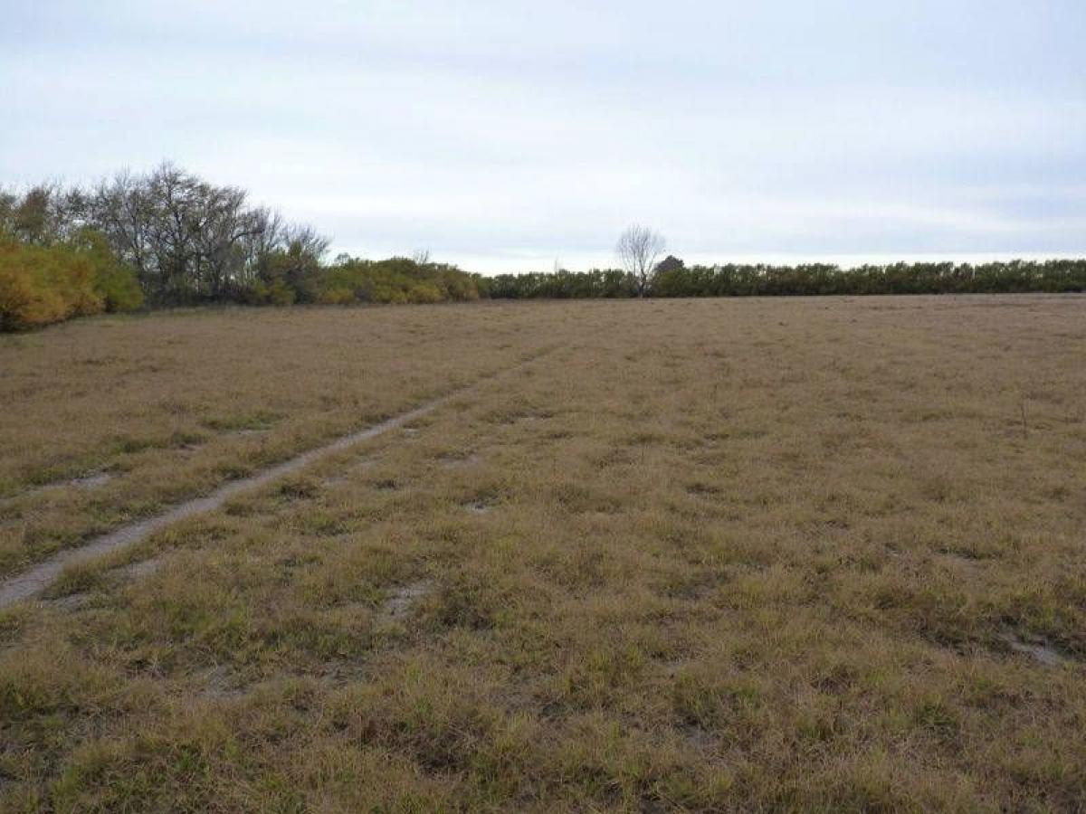 Picture of Home For Sale in Villarino, Buenos Aires, Argentina