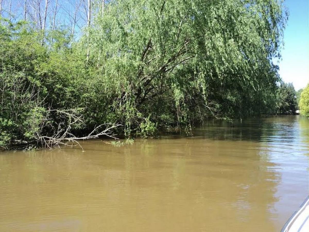 Picture of Residential Land For Sale in San Fernando, Buenos Aires, Argentina