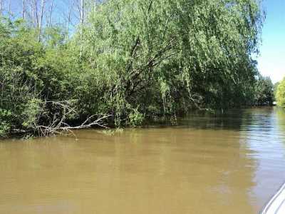 Residential Land For Sale in San Fernando, Argentina