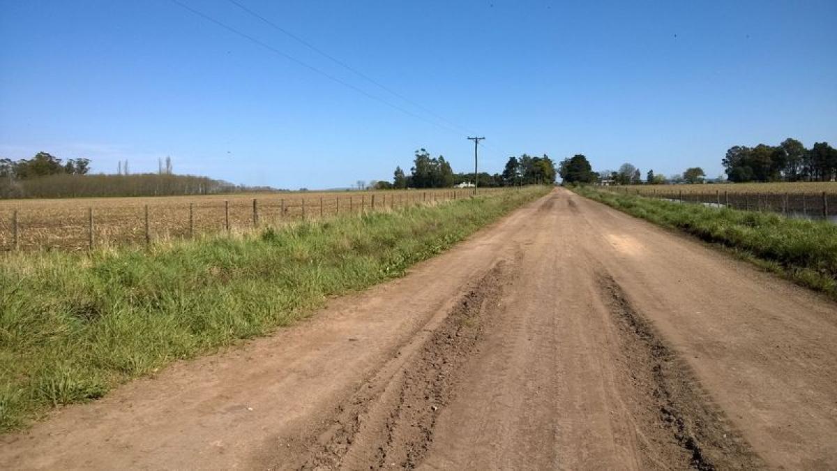 Picture of Farm For Sale in Buenos Aires Interior, Buenos Aires, Argentina