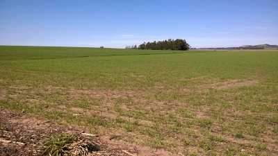 Farm For Sale in Buenos Aires Interior, Argentina