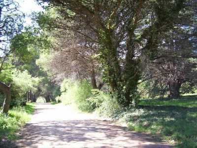 Residential Land For Sale in Tornquist, Argentina