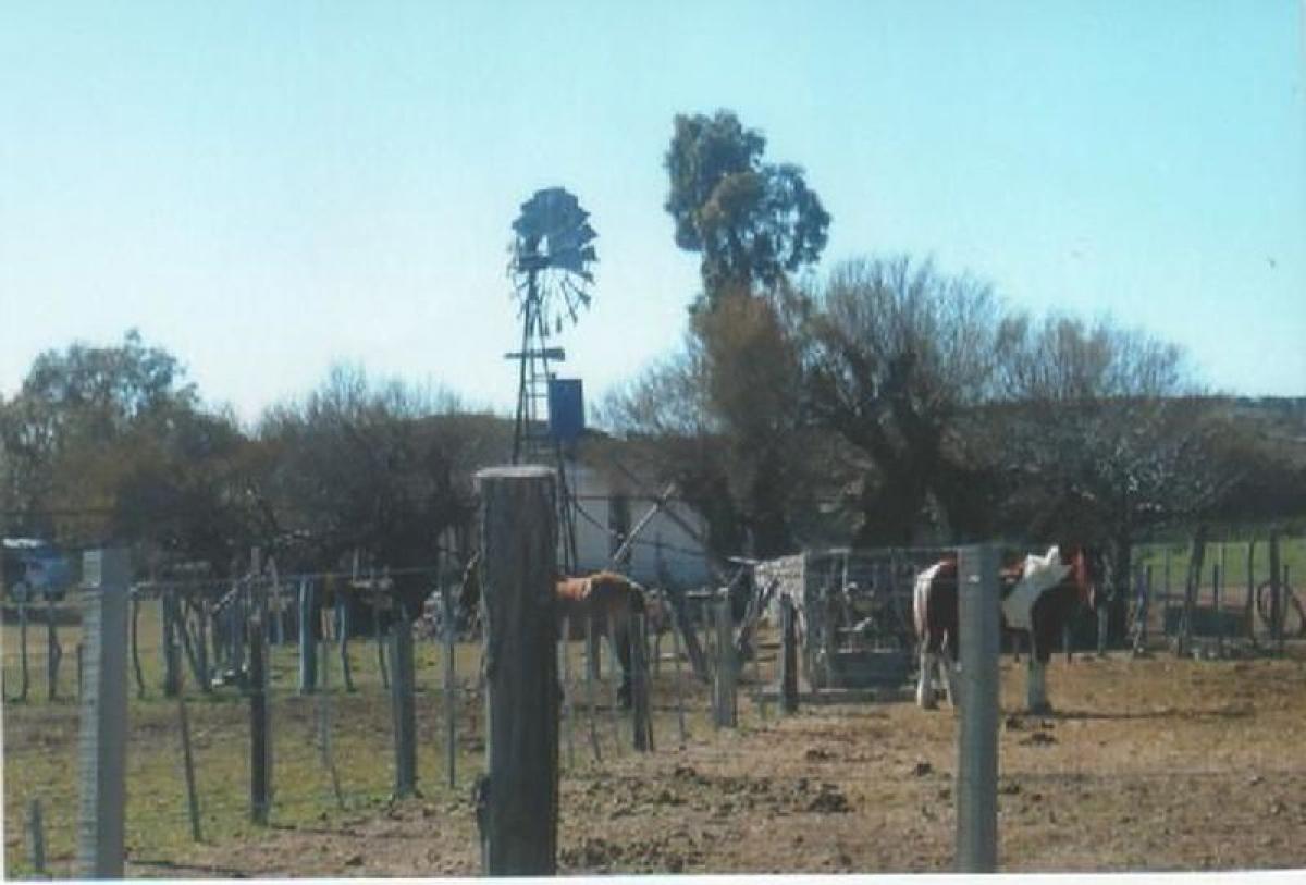 Picture of Home For Sale in Rio Negro, Rio Negro, Argentina