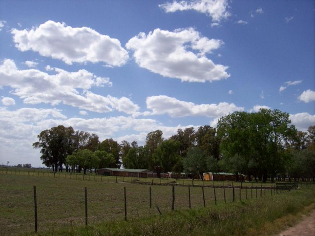 Picture of Residential Land For Sale in Suipacha, Buenos Aires, Argentina