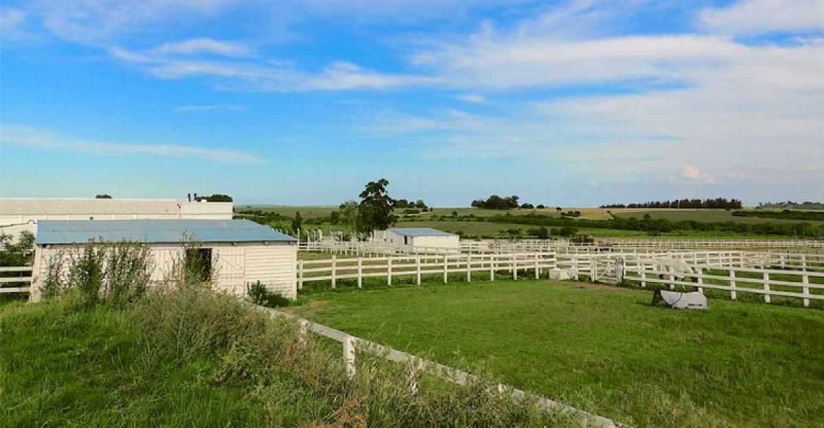 Picture of Farm For Sale in Buenos Aires Costa Atlantica, Buenos Aires, Argentina