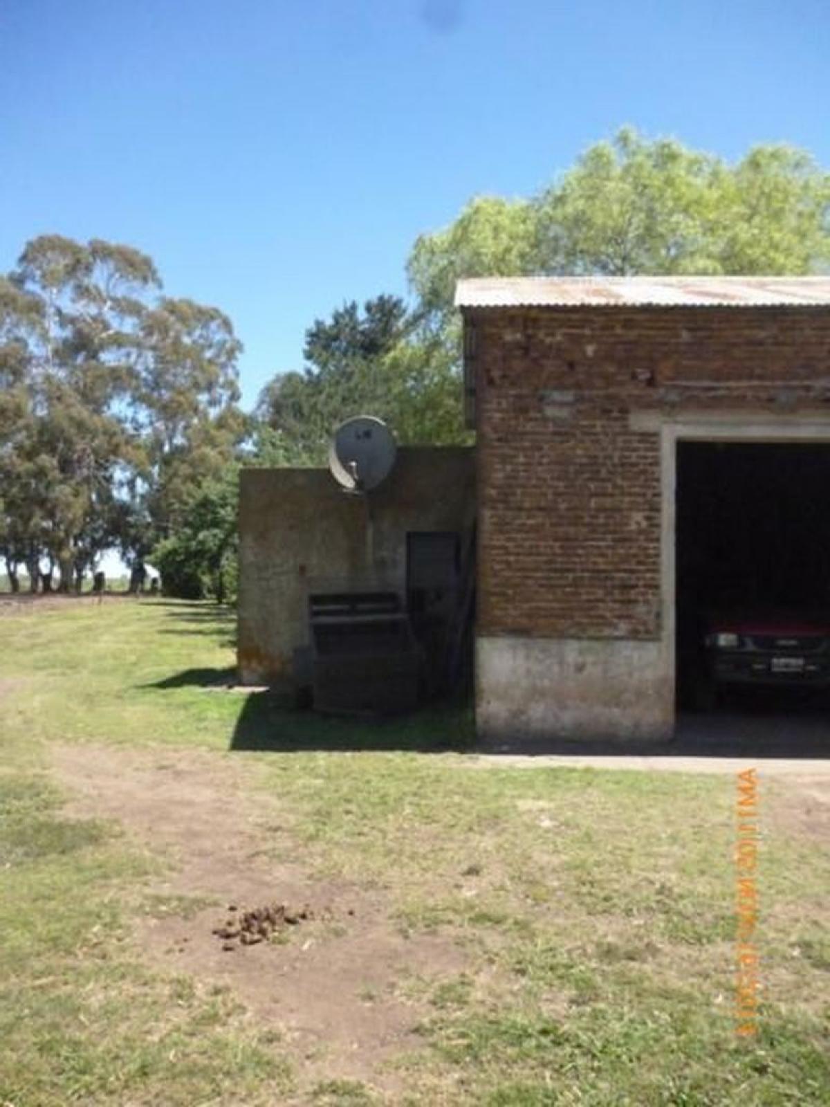 Picture of Home For Sale in Benito Juarez, Buenos Aires, Argentina