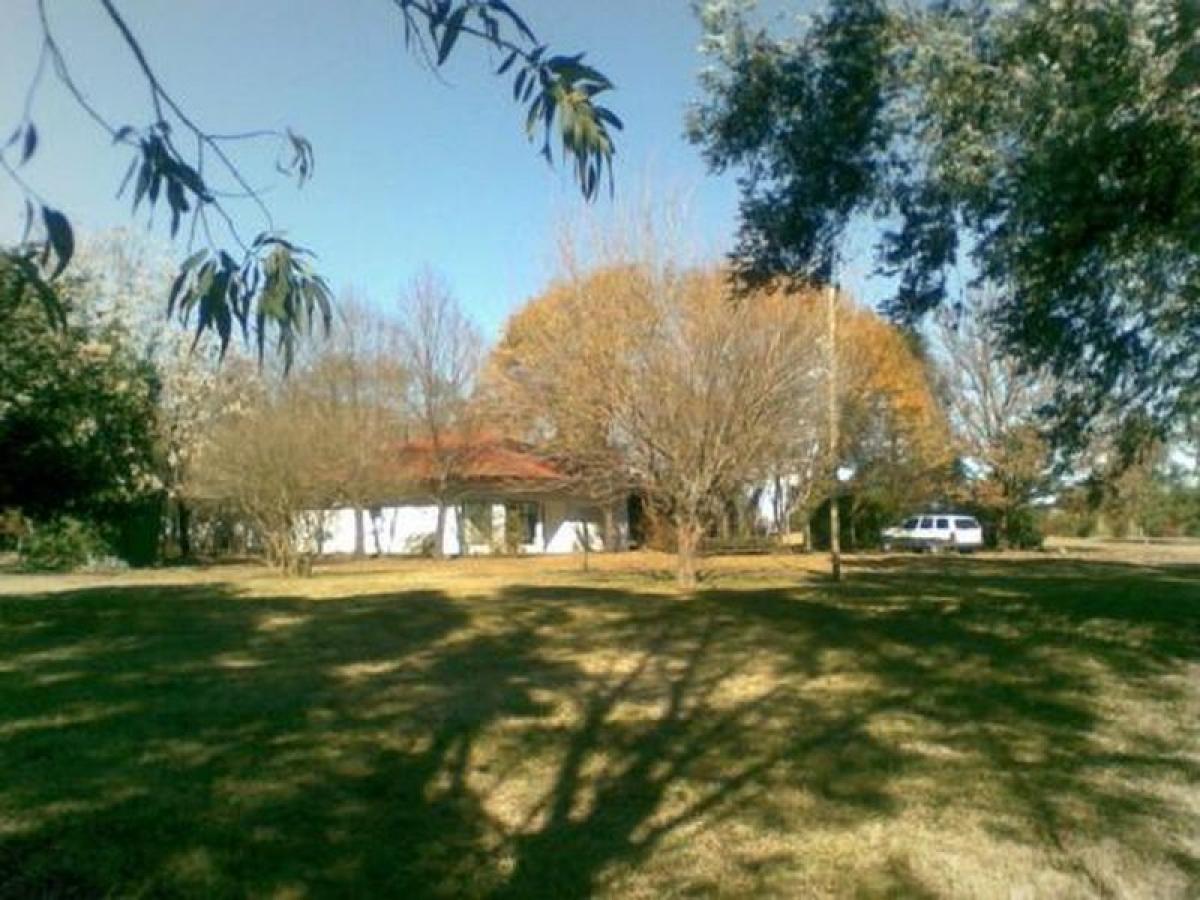 Picture of Other Commercial For Sale in Almirante Brown, Distrito Federal, Argentina