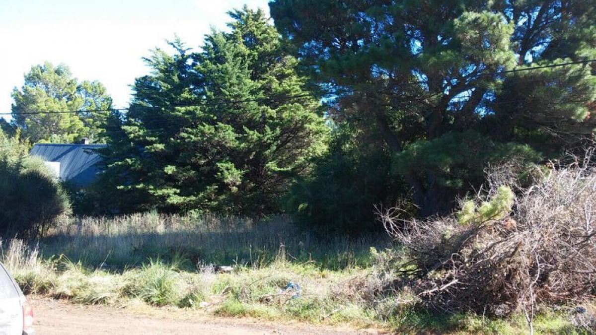 Picture of Residential Land For Sale in Tornquist, Buenos Aires, Argentina