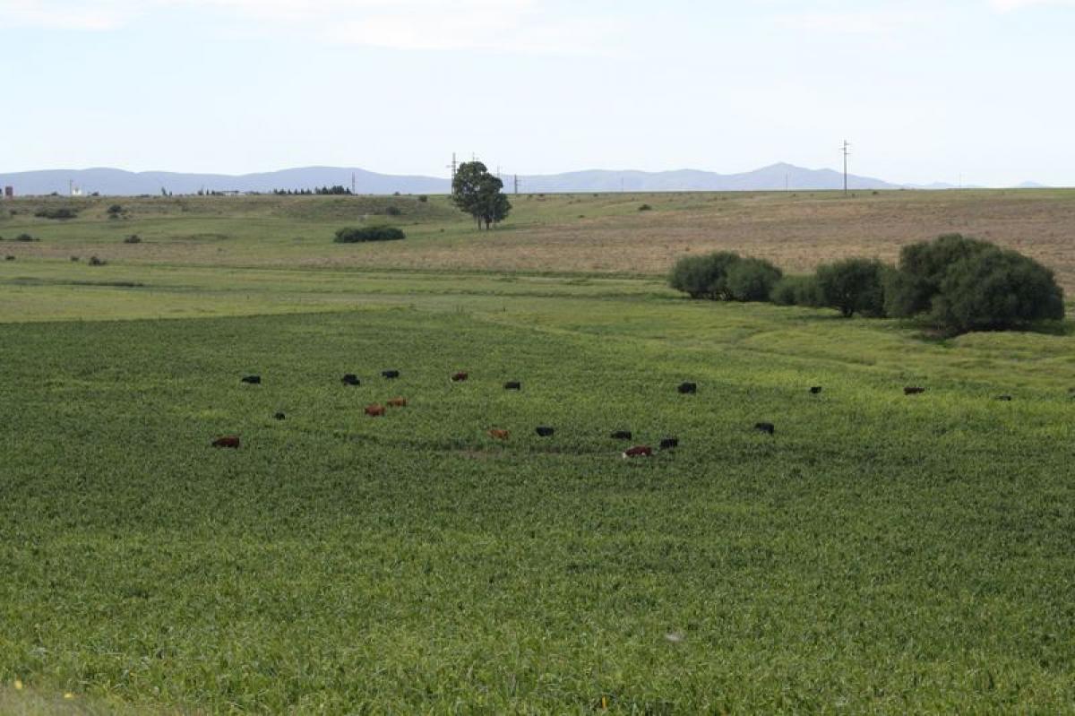 Picture of Home For Sale in Tornquist, Buenos Aires, Argentina