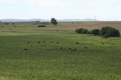 Home For Sale in Tornquist, Argentina