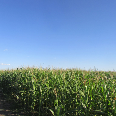 Home For Sale in Entre Rios, Argentina