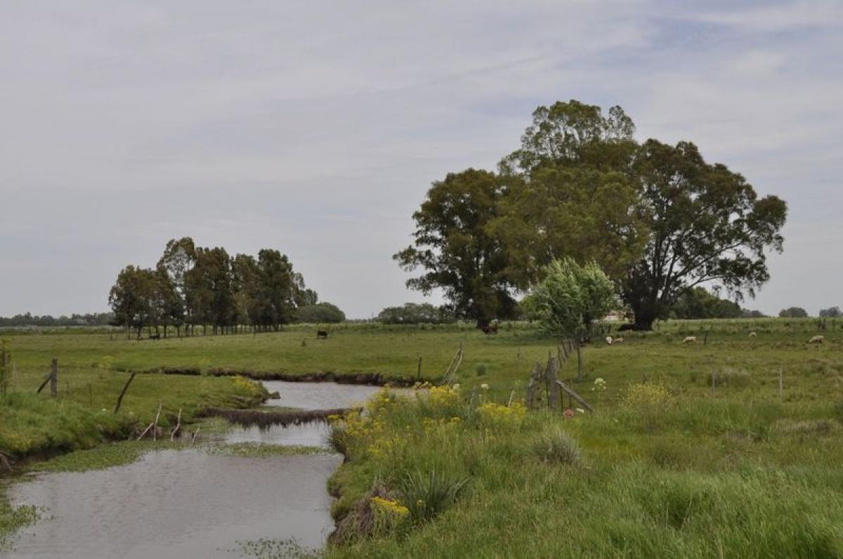 Picture of Residential Land For Sale in Marcos Paz, Buenos Aires, Argentina