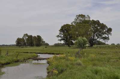 Residential Land For Sale in Marcos Paz, Argentina