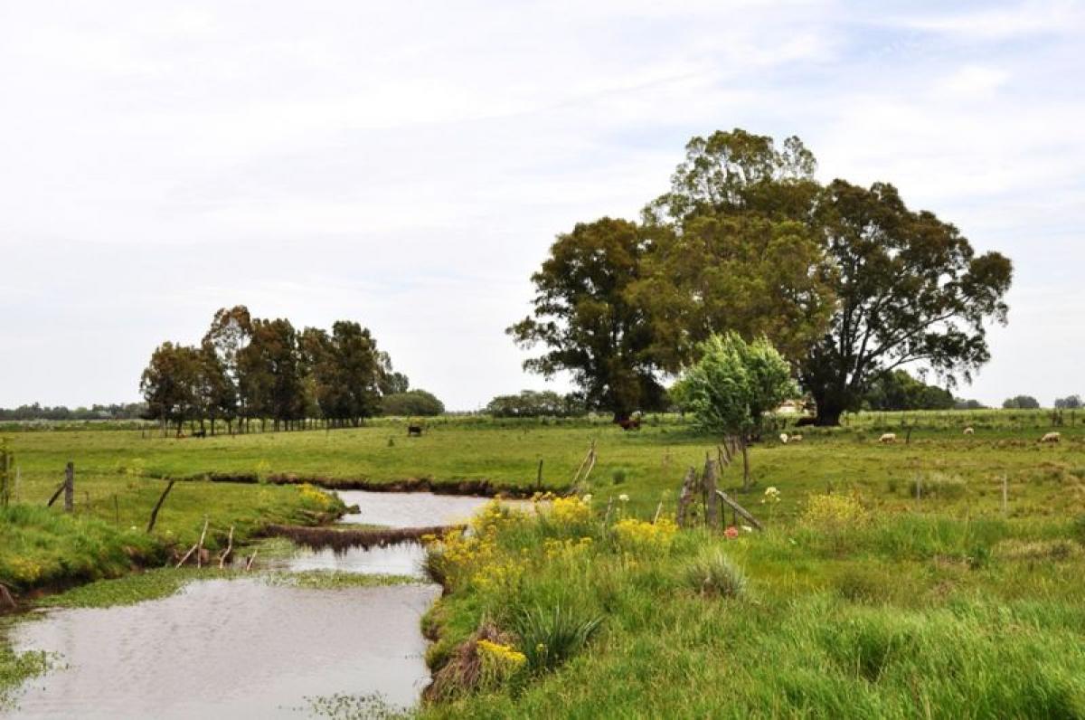 Picture of Residential Land For Sale in Marcos Paz, Buenos Aires, Argentina