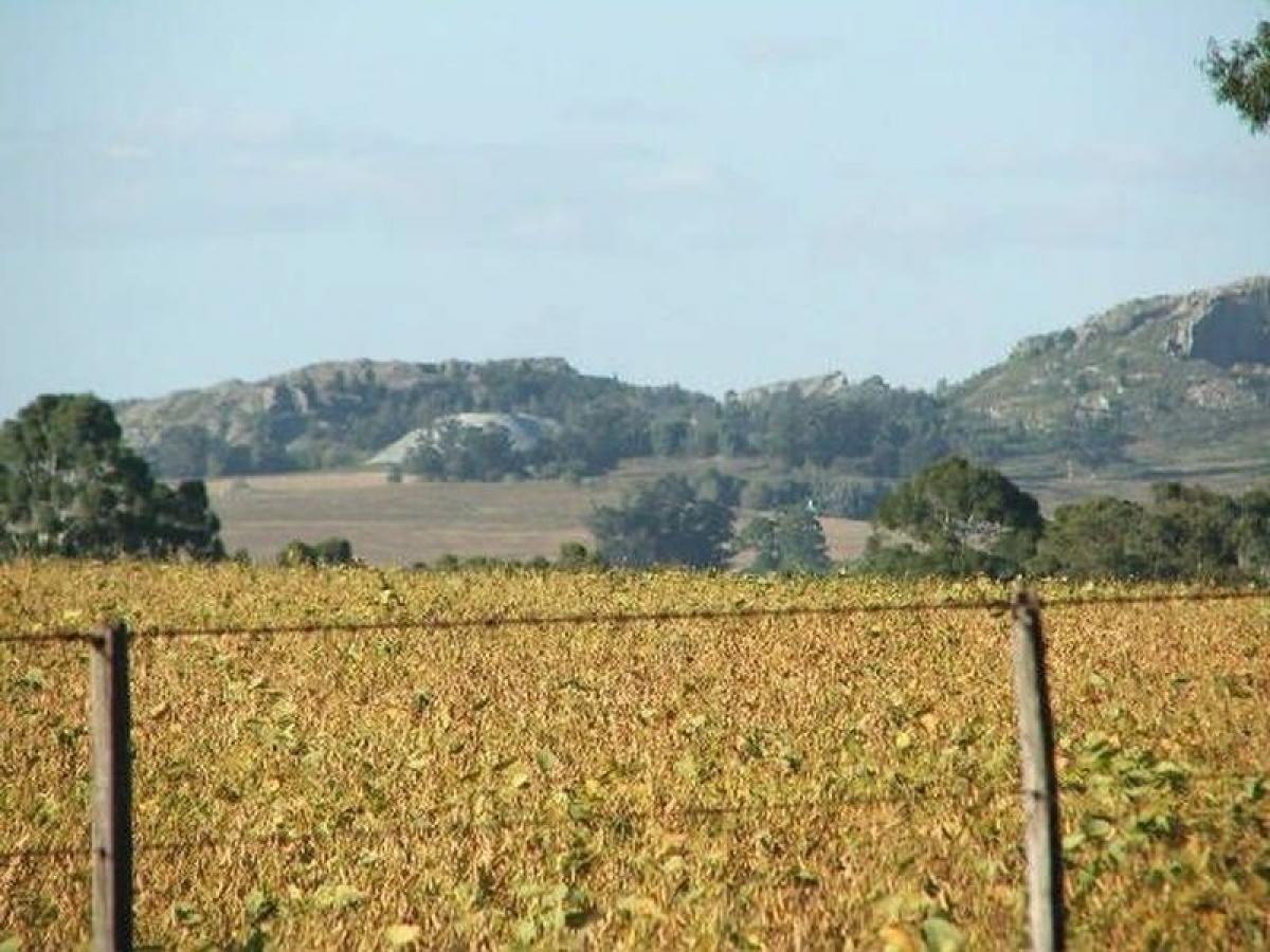 Picture of Other Commercial For Sale in Buenos Aires Interior, Buenos Aires, Argentina