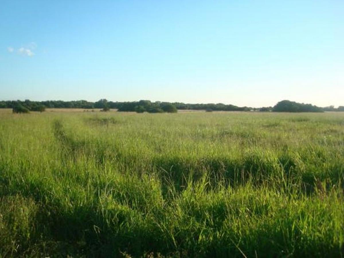 Picture of Home For Sale in Chaco, Chaco, Argentina