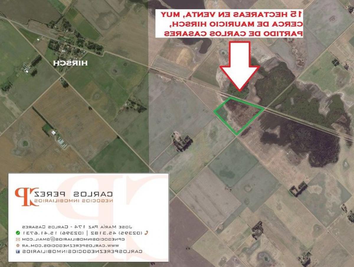 Picture of Home For Sale in Carlos Casares, Buenos Aires, Argentina