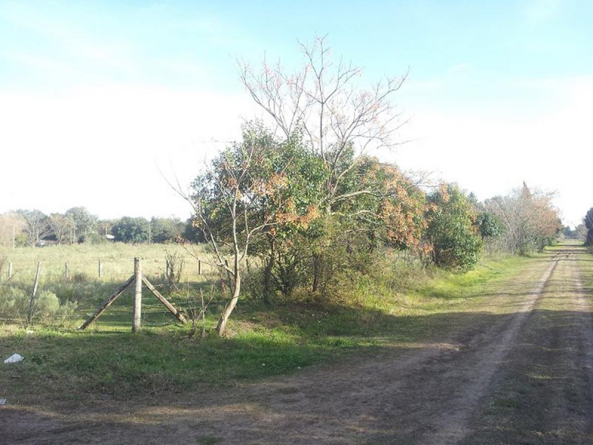 Picture of Residential Land For Sale in San Antonio De Areco, Buenos Aires, Argentina