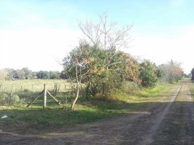 Residential Land For Sale in San Antonio De Areco, Argentina