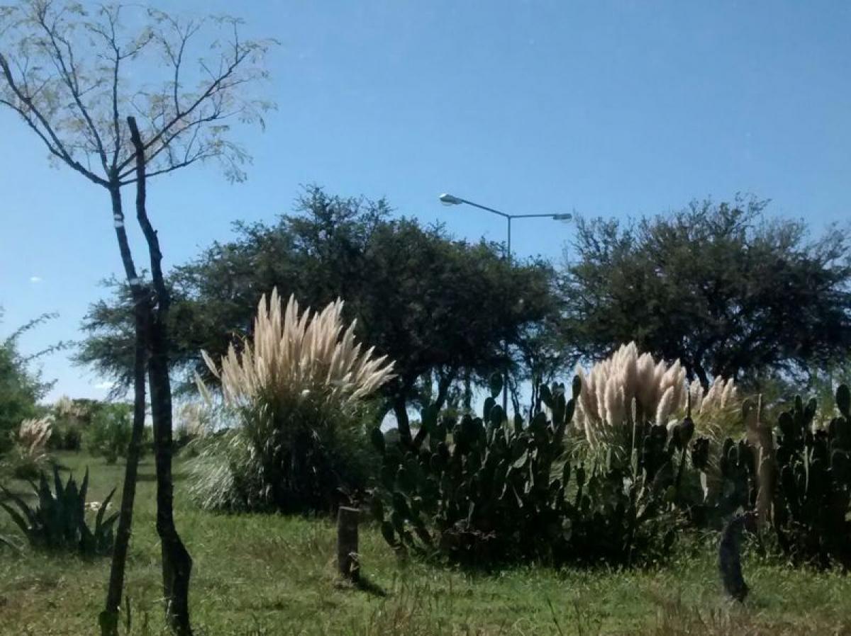 Picture of Residential Land For Sale in La Pampa, Cordoba, Argentina